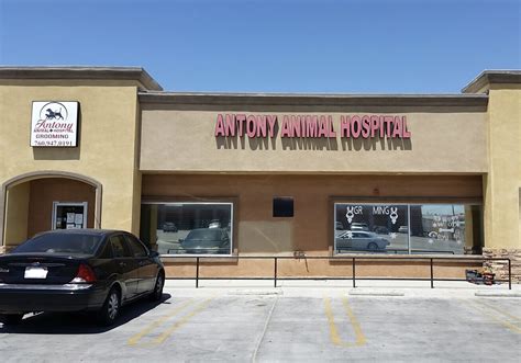 hesperia animal hospital